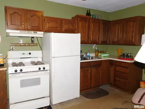 1703 Gaston Road Rd, Kell, IL 62853 photo 25