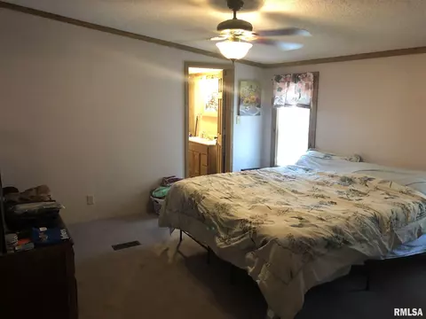 1619 County Road 1075 E Rd, Cisne, IL 62823 photo 19