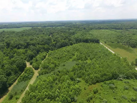 1619 County Road 1075 E Rd, Cisne, IL 62823 photo 38