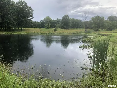 1619 County Road 1075 E Rd, Cisne, IL 62823 photo 9