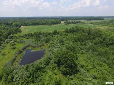 1619 County Road 1075 E Rd, Cisne, IL 62823 photo 35