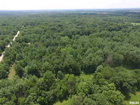 1619 County Road 1075 E Rd, Cisne, IL 62823 photo 39