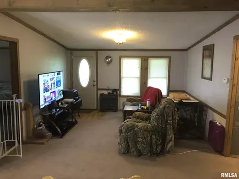 1619 County Road 1075 E Rd, Cisne, IL 62823 photo 18