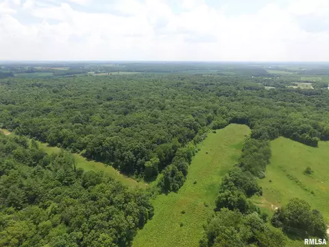 1619 County Road 1075 E Rd, Cisne, IL 62823 photo 43