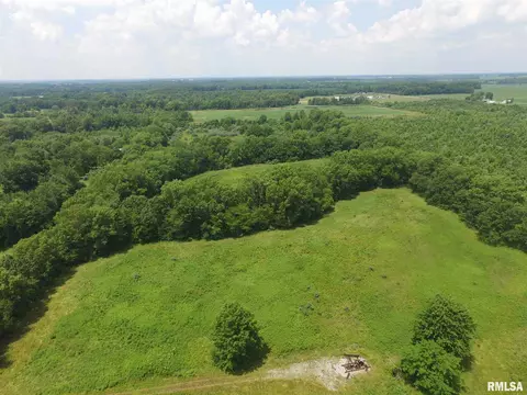 1619 County Road 1075 E Rd, Cisne, IL 62823 photo 33