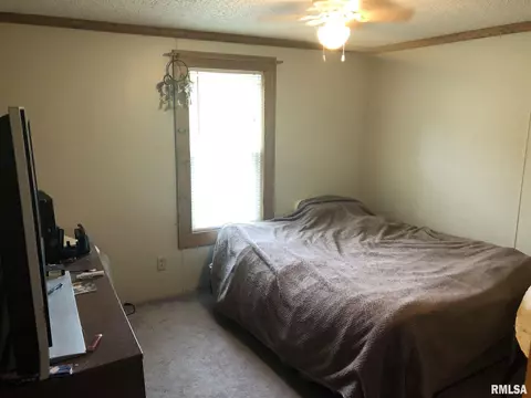 1619 County Road 1075 E Rd, Cisne, IL 62823 photo 24