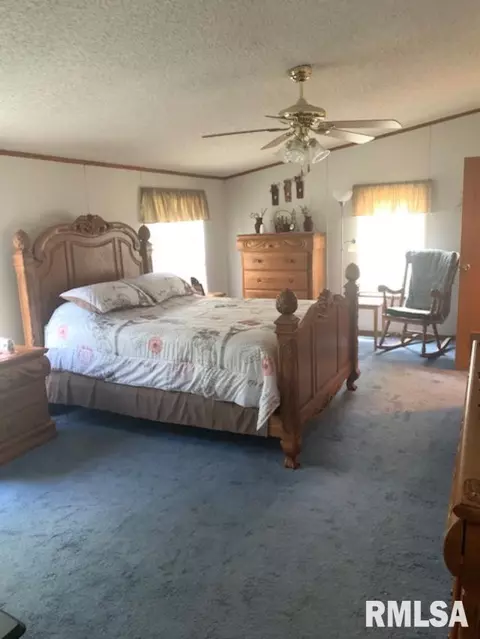 1132 N Franklin Ave, Centralia, IL 62801 photo 5