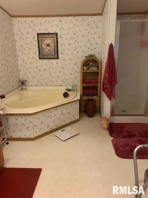 1132 N Franklin Ave, Centralia, IL 62801 photo 6