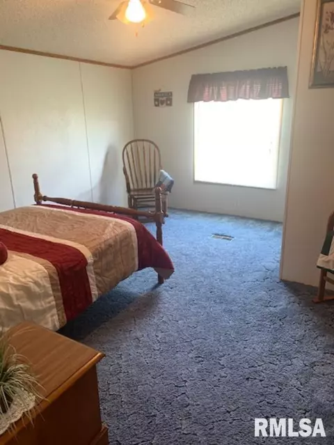 1132 N Franklin Ave, Centralia, IL 62801 photo 8