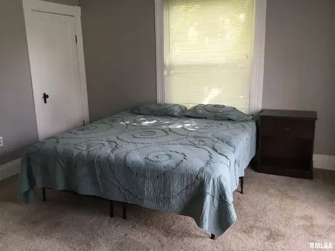 205 Freeman St, Anna, IL 62906 photo 11