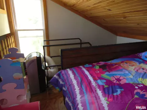 4796 E Mitchell Lake Dr, Mulkeytown, IL 62865 photo 9