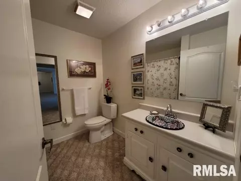 9091 E Richview Rd, Mount Vernon, IL 62864 photo 42