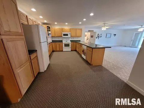 9091 E Richview Rd, Mount Vernon, IL 62864 photo 28