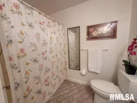 9091 E Richview Rd, Mount Vernon, IL 62864 photo 41
