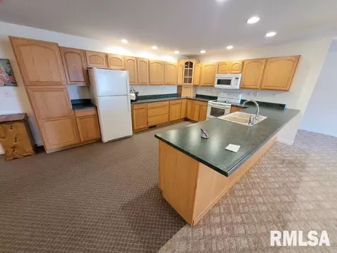 9091 E Richview Rd, Mount Vernon, IL 62864 photo 5