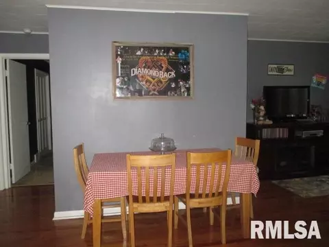 210 Plum St, Anna, IL 62906 photo 19