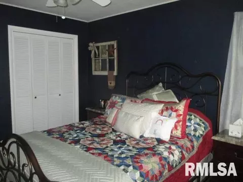 210 Plum St, Anna, IL 62906 photo 31