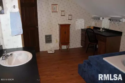 202 E Mohan St, Cambria, IL 62915 photo 29