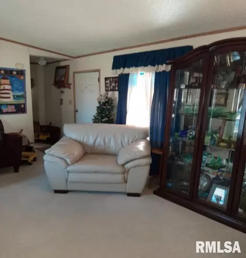 405 Ridgeway Rd, Eldorado, IL 62930 photo 43