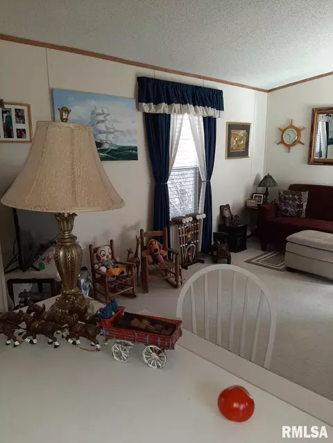 405 Ridgeway Rd, Eldorado, IL 62930 photo 18