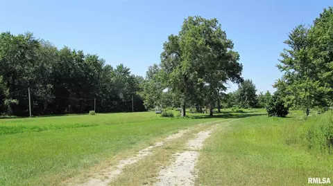 195 Camelia Rd, Flora, IL 62839 photo 10