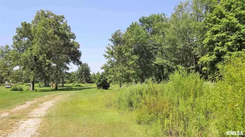 195 Camelia Rd, Flora, IL 62839 photo 9