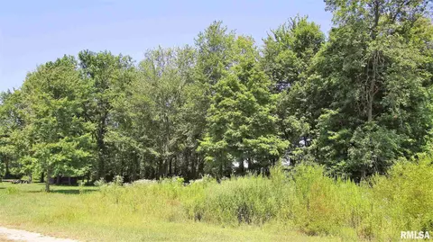195 Camelia Rd, Flora, IL 62839 photo 12