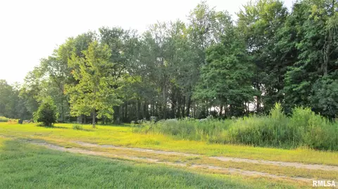 195 Camelia Rd, Flora, IL 62839 photo 2