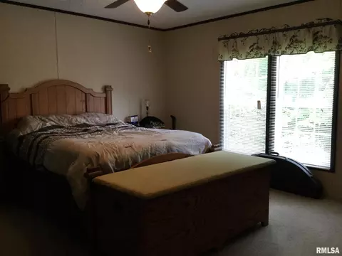 425 Pine Tree Ln, Cobden, IL 62920 photo 12