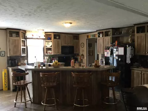 425 Pine Tree Ln, Cobden, IL 62920 photo 3