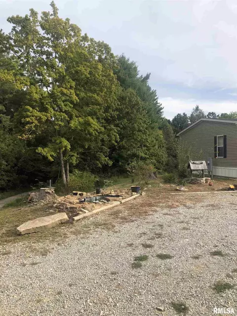 425 Pine Tree Ln, Cobden, IL 62920 photo 40