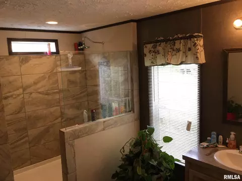 425 Pine Tree Ln, Cobden, IL 62920 photo 14