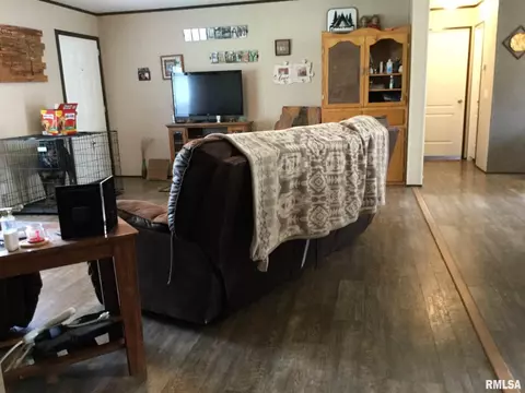 425 Pine Tree Ln, Cobden, IL 62920 photo 7