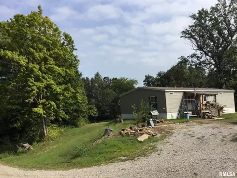 425 Pine Tree Ln, Cobden, IL 62920 photo 25