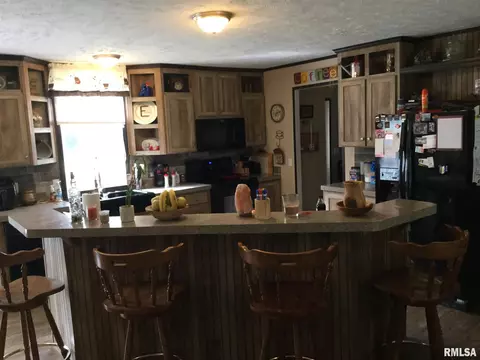 425 Pine Tree Ln, Cobden, IL 62920 photo 4
