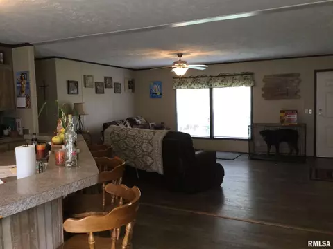 425 Pine Tree Ln, Cobden, IL 62920 photo 5