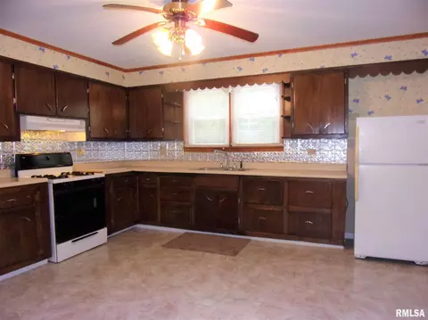 510 N Emma St, Christopher, IL 62822 photo 7