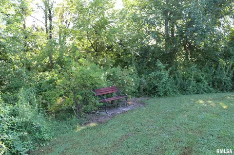 11360 Eiff Rd, Marissa, IL 62257 photo 29