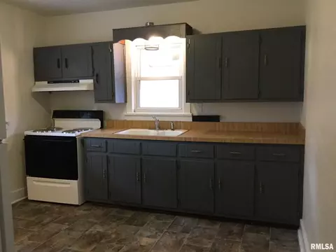 106 E Lewis St, Anna, IL 62906 photo 5