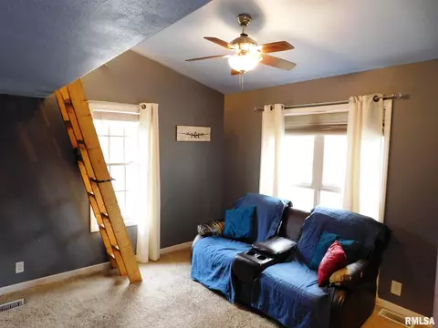 523 E Mitchell St, Salem, IL 62881 photo 25