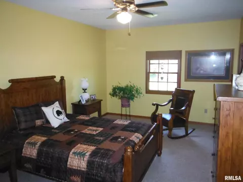 320 Willow Ln, Anna, IL 62906 photo 13