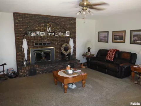 320 Willow Ln, Anna, IL 62906 photo 3