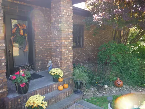 320 Willow Ln, Anna, IL 62906 photo 37