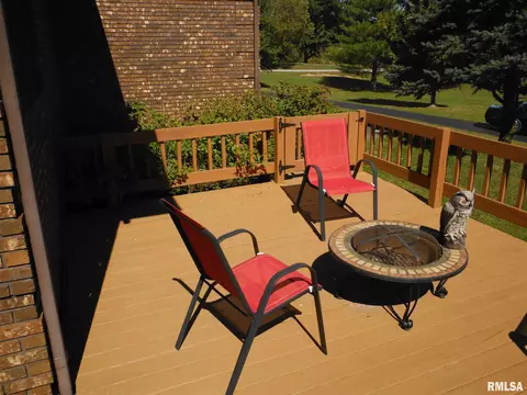 320 Willow Ln, Anna, IL 62906 photo 23