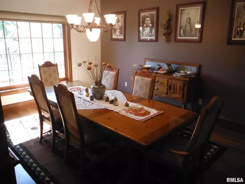 320 Willow Ln, Anna, IL 62906 photo 5