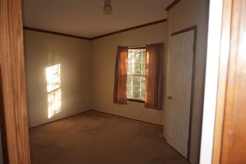 113 Nicholson St, Cobden, IL 62920 photo 21