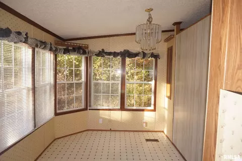 113 Nicholson St, Cobden, IL 62920 photo 7