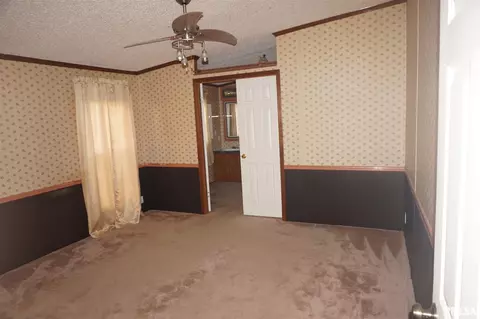113 Nicholson St, Cobden, IL 62920 photo 10