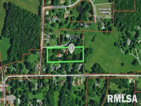 113 Nicholson St, Cobden, IL 62920 photo 50