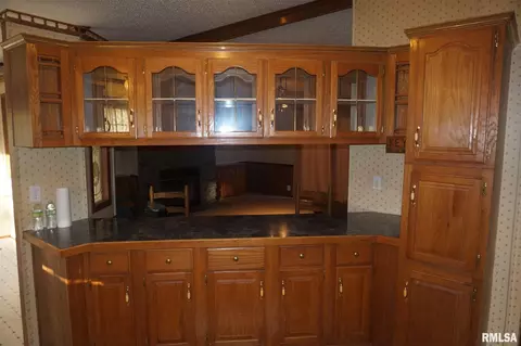 113 Nicholson St, Cobden, IL 62920 photo 5